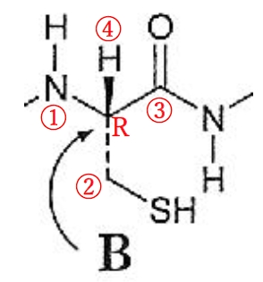 グルタチオンに関する記述 薬学化学 第96回薬剤師国家試験問14